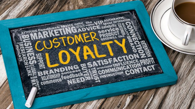 customer loyalty scheme-vibewebsolutions