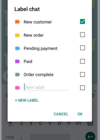 Whatsapp Business App