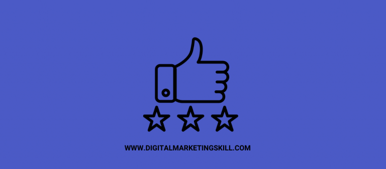 dmsi review