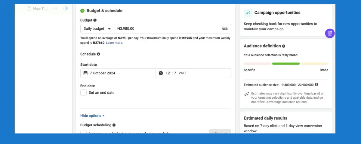 Budget and schedule