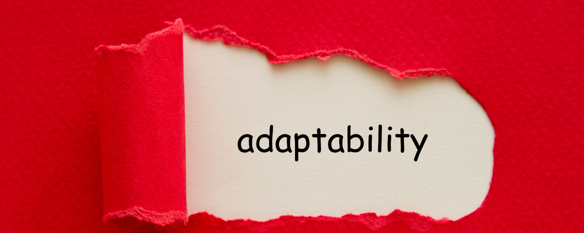 What Your Resume Should Look Like - Adaptability Skill