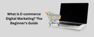 E-commerce Digital Marketing