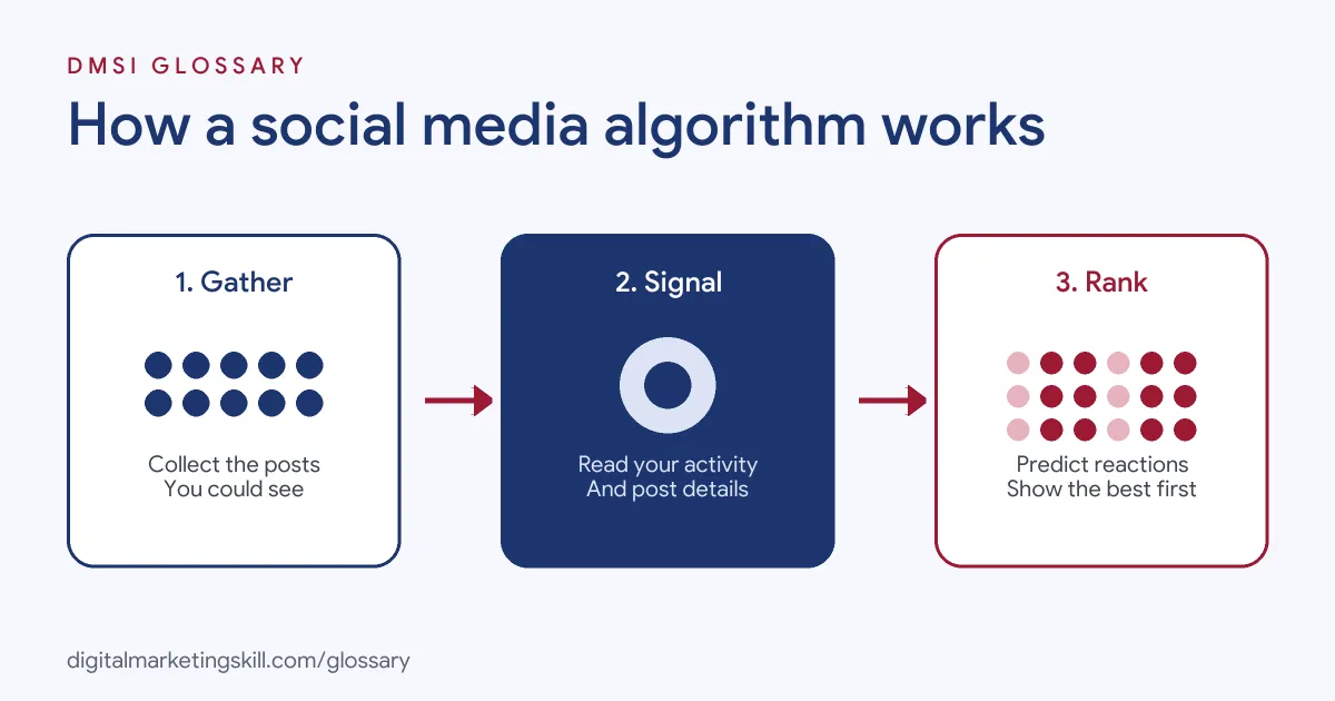 Diagram of how a social media algorithm works: gather possible posts, read signals, then predict and rank what each person sees