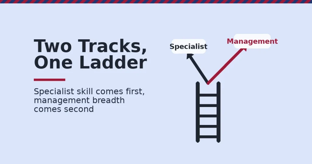 Illustration of digital marketing career opportunities as a ladder splitting into a specialist path and a management path