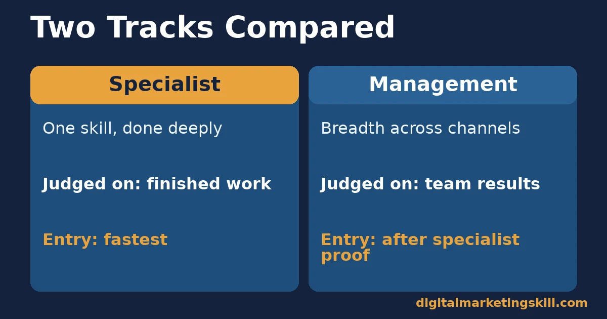 Comparison of two types of digital marketing career opportunities: specialist roles judged on finished work versus management roles judged on team results